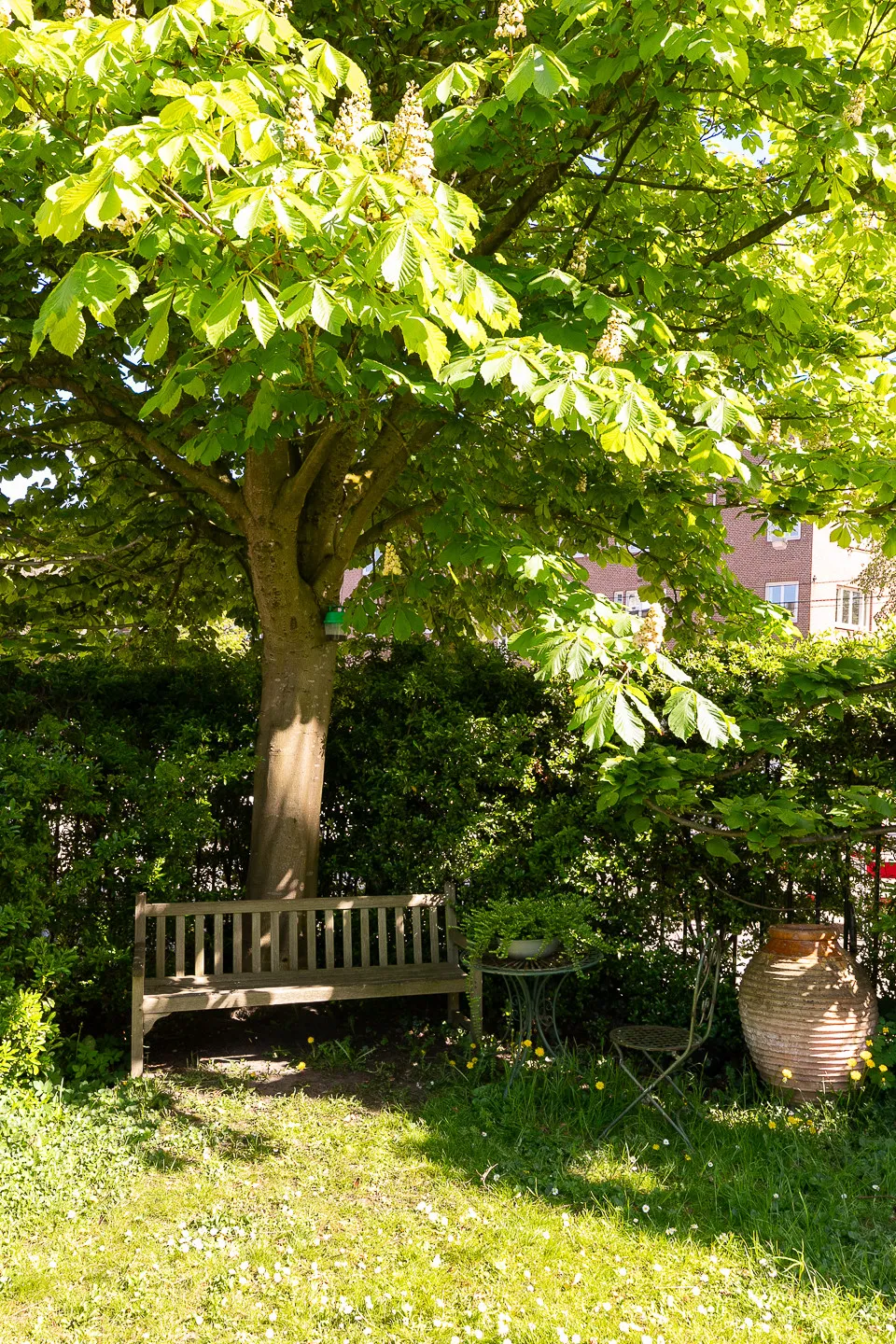 J.M. Coenenstraat_48_Amsterdam-54