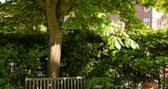 von_poll_real_estate_property_NL25185532_image_43