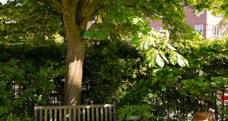 von_poll_real_estate_property_NL25185532_image_43