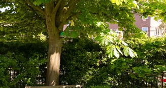 von_poll_real_estate_property_NL25185532_image_43