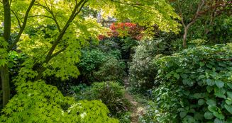 von_poll_real_estate_property_NL25185536_image_32