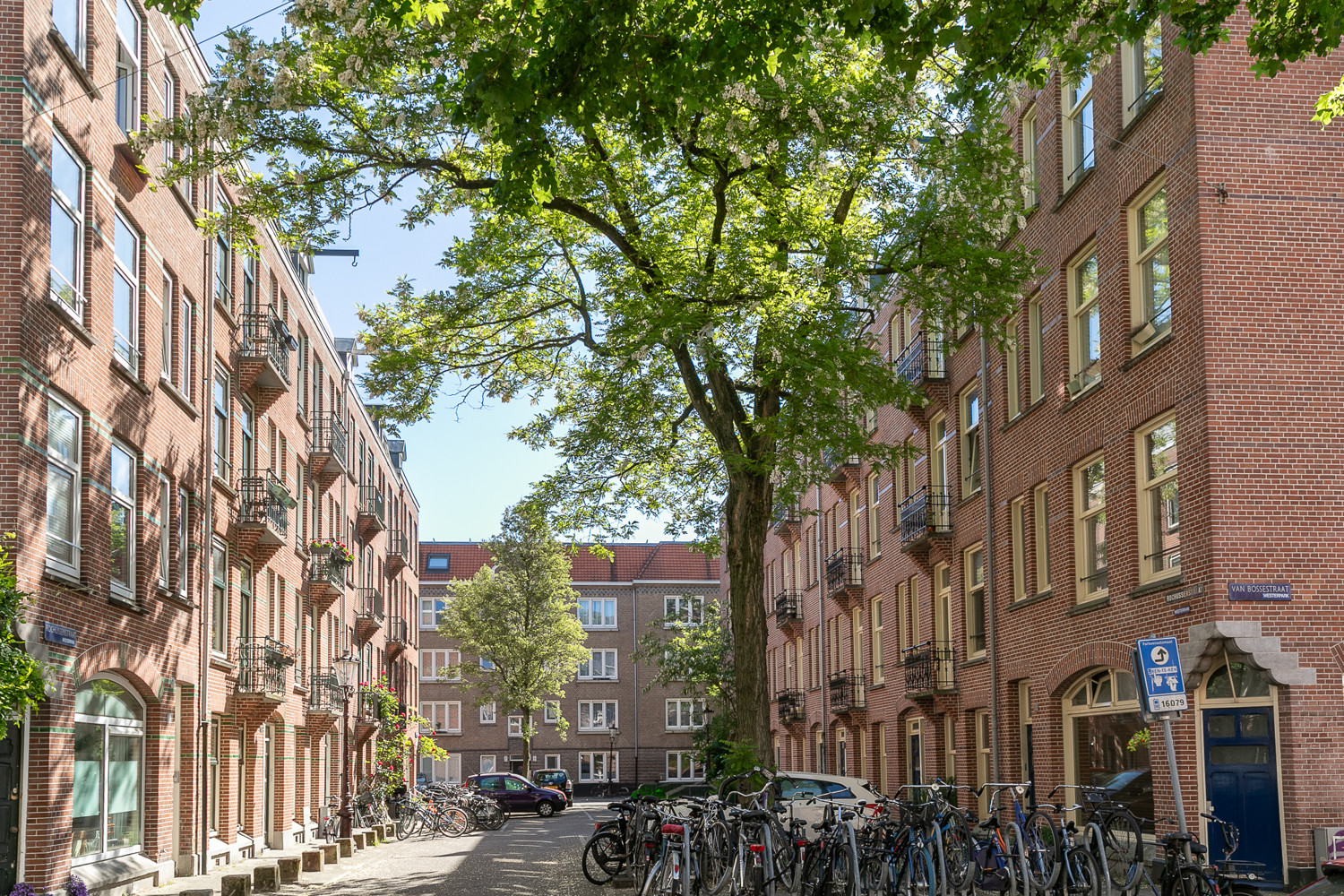 Rochussenstraat_11_III_Amsterdam-4