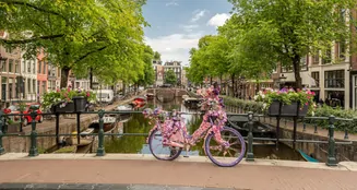 von_poll_real_estate_property_NL25185561_image_45