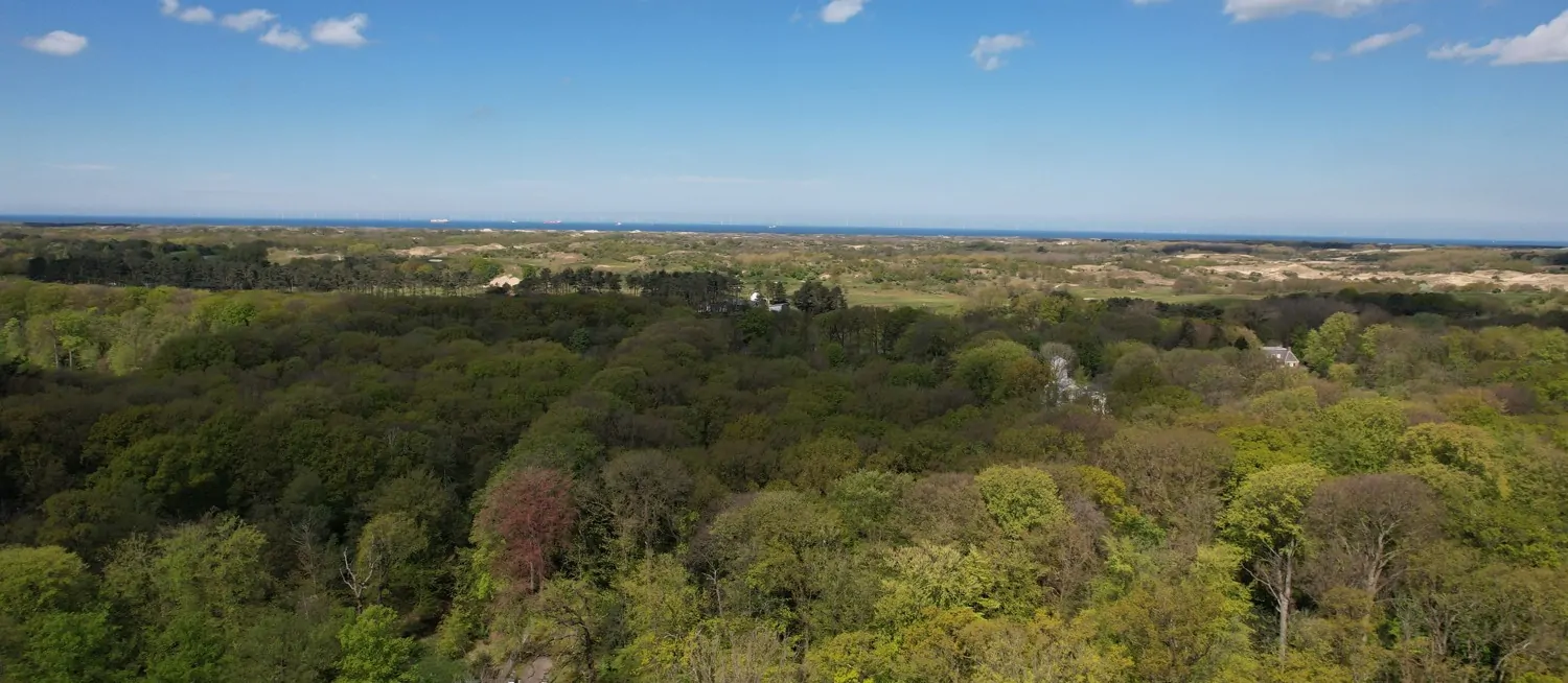 35_6154324_2835389467