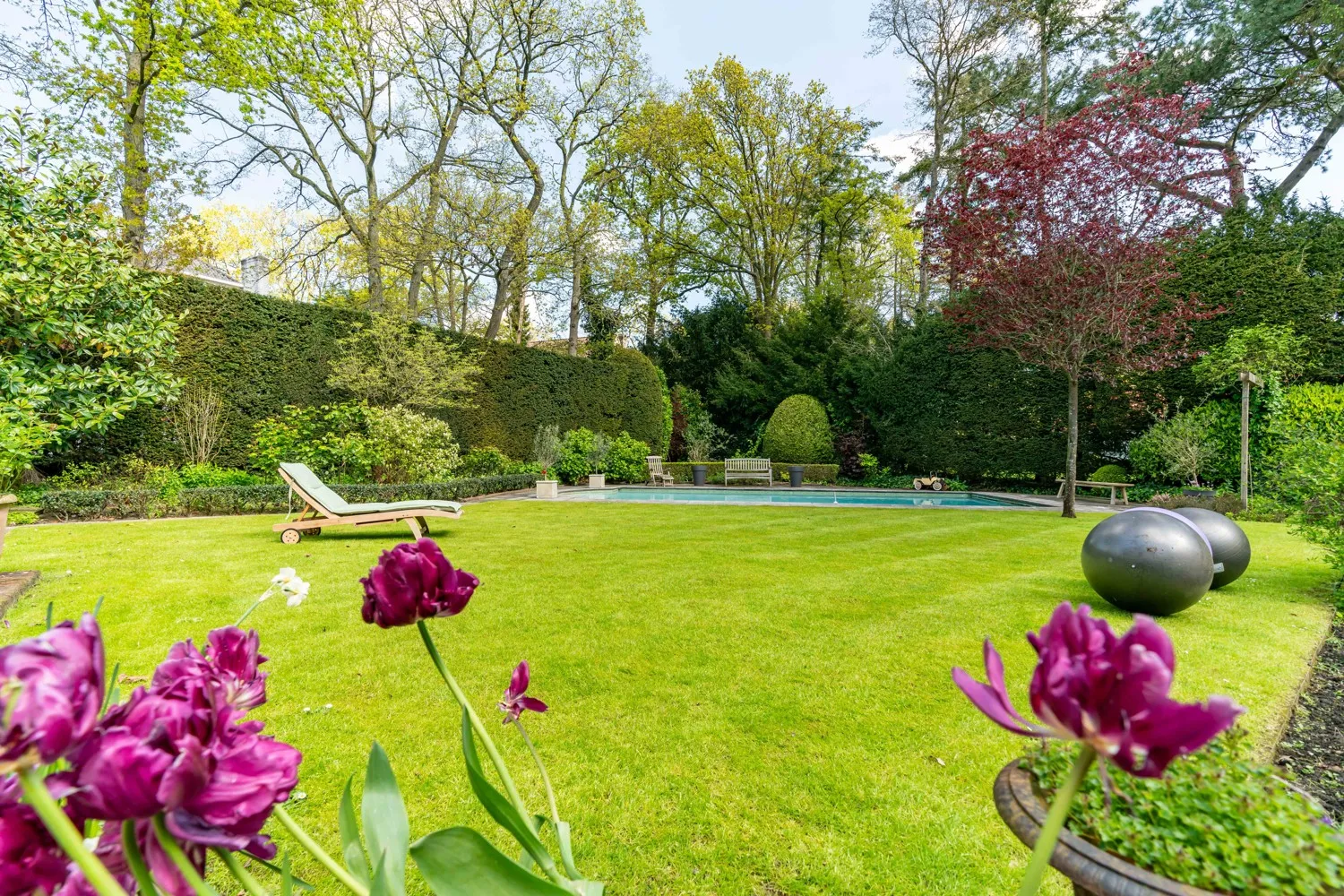 31_6154324_2835389439