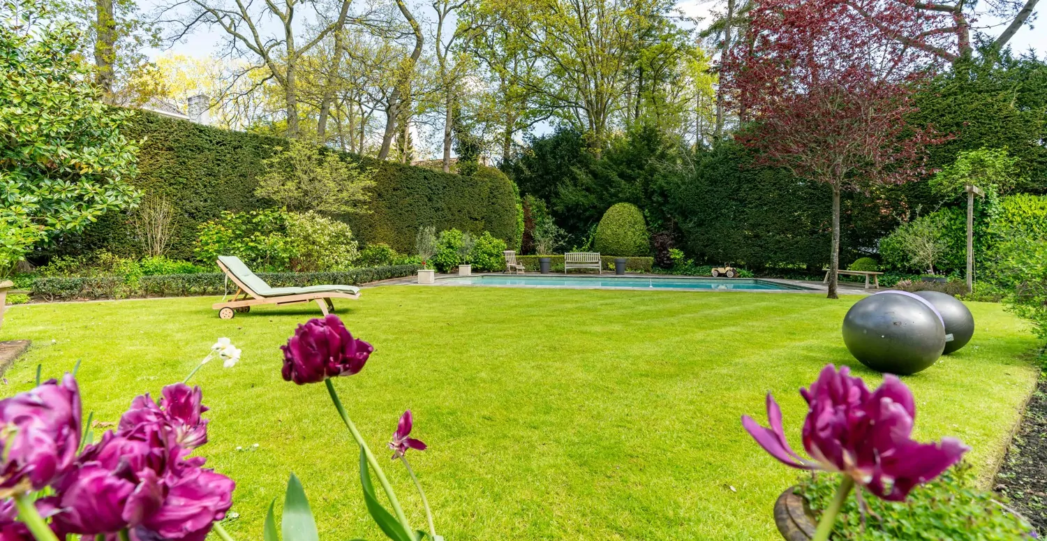 31_6154324_2835389439