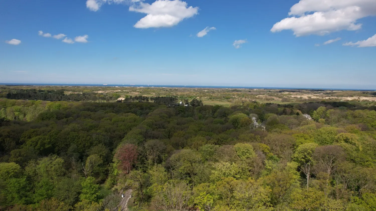 35_6154324_2835389467