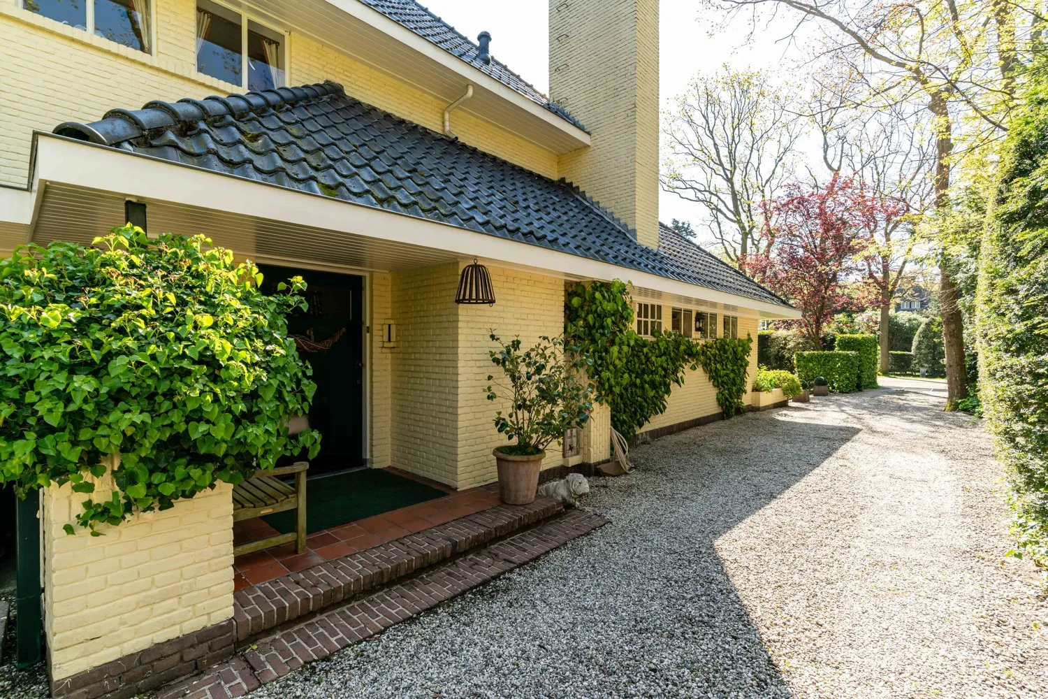 5_6154324_2835389279