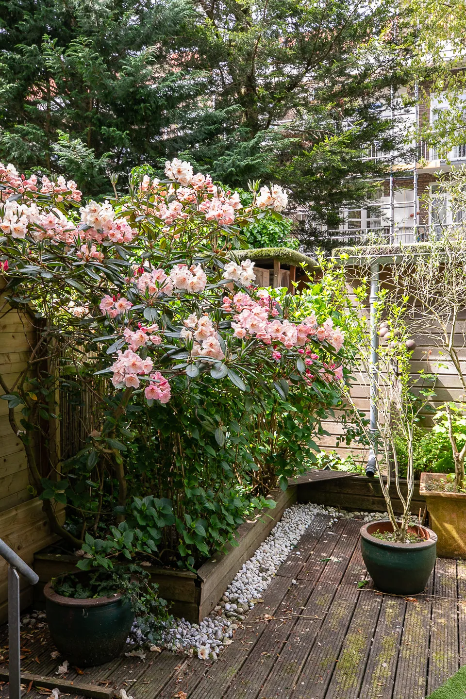 Jacob Marisstraat_34H_Amsterdam-71