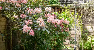 von_poll_real_estate_property_NL25185564_image_69