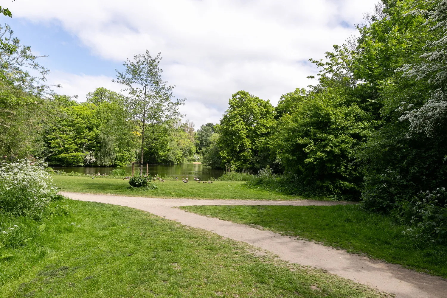 Jacob Marisstraat_34H_Amsterdam-45