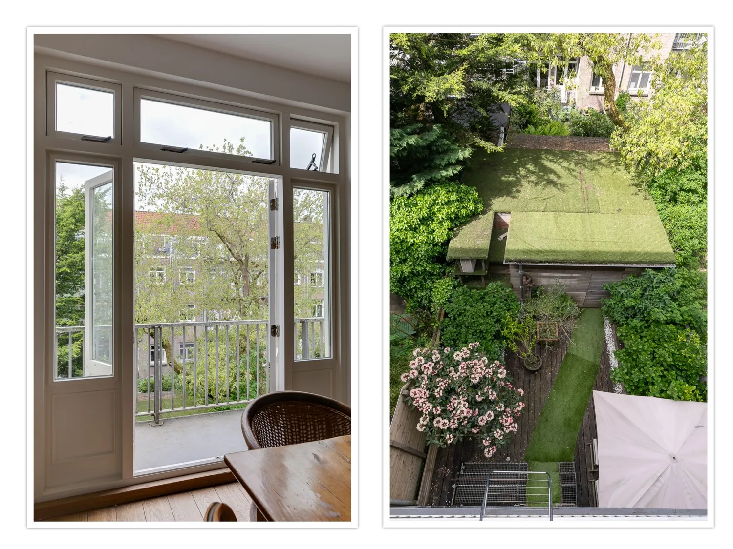 collage - 2025-05-10T111310.741