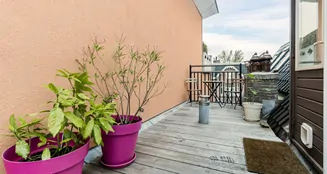 von_poll_real_estate_property_NL25185563_image_24