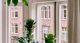 von_poll_real_estate_property_NL25185563_image_67