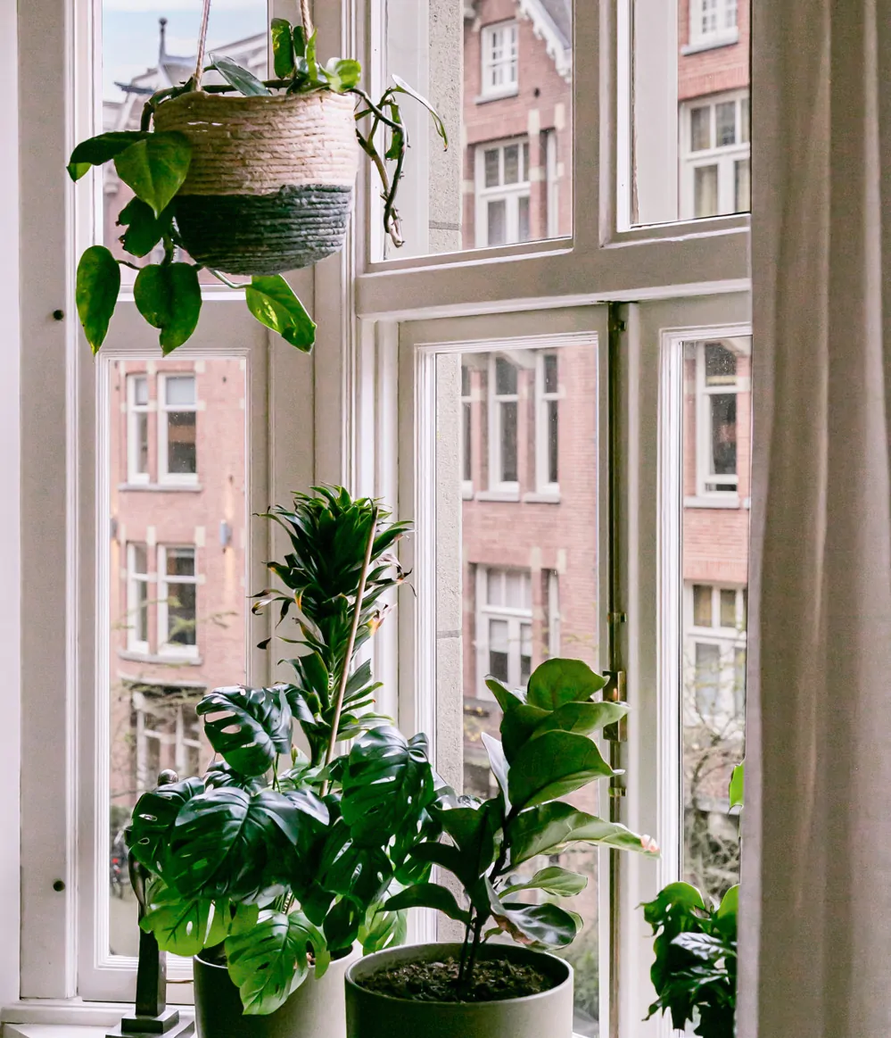 Pieter de Hoochstraat 3-2-67