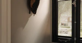 von_poll_real_estate_property_NL25185571_image_43