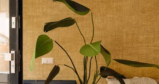 von_poll_real_estate_property_NL25185574_image_7