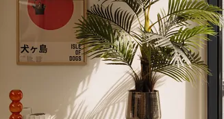 von_poll_real_estate_property_NL25185574_image_15