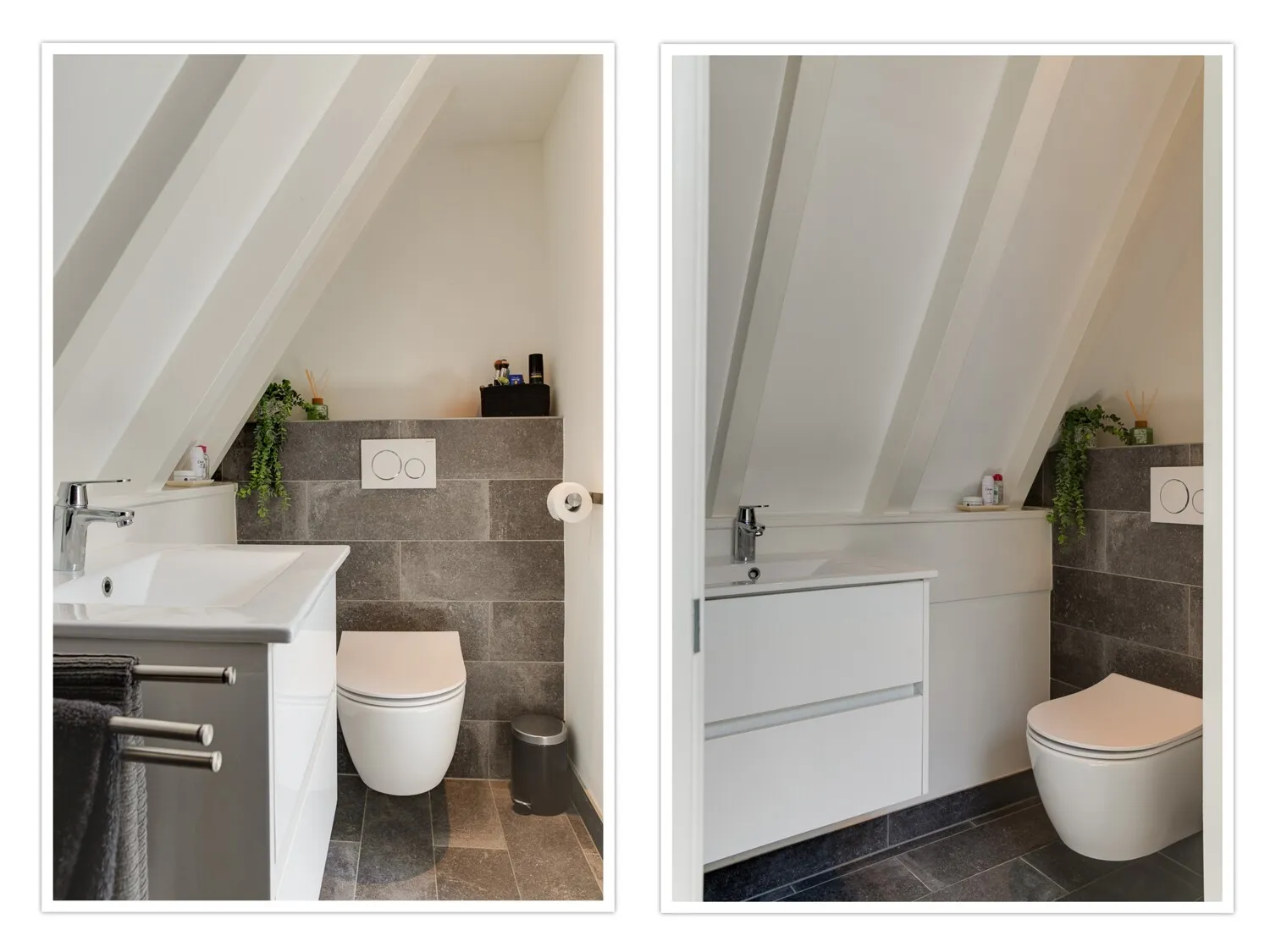 collage - 2025-05-12T144724.504