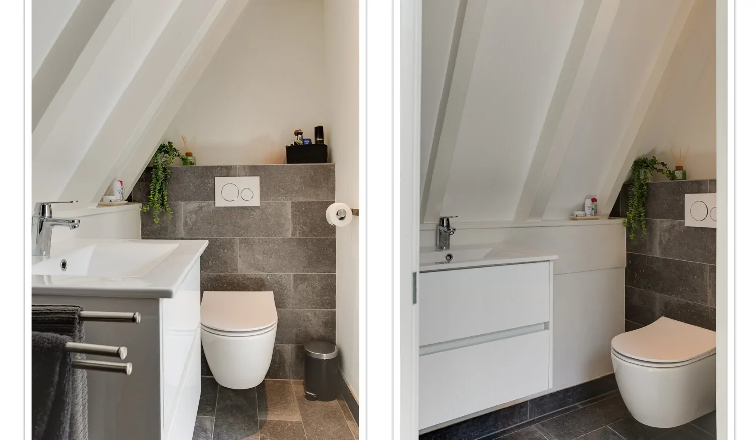 collage - 2025-05-12T144724.504