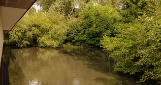 von_poll_real_estate_property_NL25185576_image_17