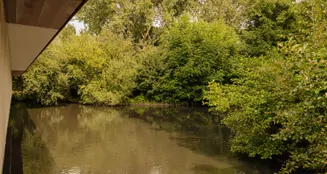 von_poll_real_estate_property_NL25185576_image_17