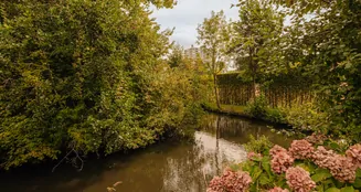 von_poll_real_estate_property_NL25185576_image_11