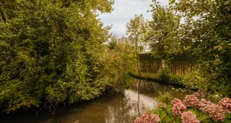 von_poll_real_estate_property_NL25185576_image_11