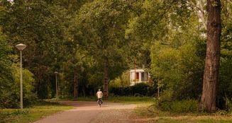 von_poll_real_estate_property_NL25185576_image_38