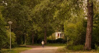 von_poll_real_estate_property_NL25185576_image_38