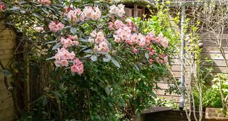 von_poll_real_estate_property_NL25185586_image_61