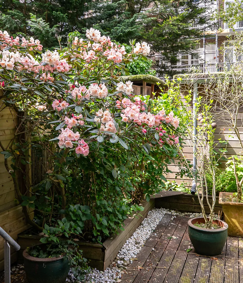 Jacob Marisstraat_34H_Amsterdam-71