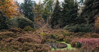 von_poll_real_estate_property_NL25185587_image_9