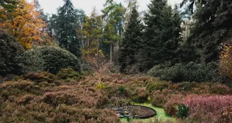 von_poll_real_estate_property_NL25185587_image_50