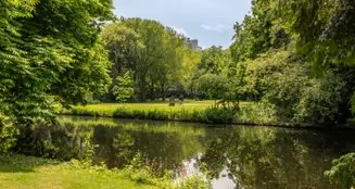 von_poll_real_estate_property_NL25185595_image_50