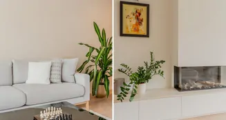 von_poll_real_estate_property_NL25185595_image_8