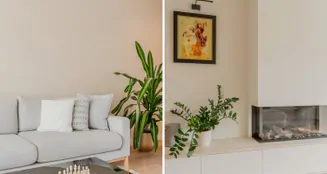 von_poll_real_estate_property_NL25185595_image_8