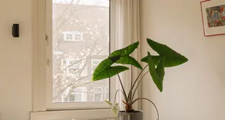 von_poll_real_estate_property_NL25185592_image_13