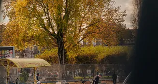 von_poll_real_estate_property_NL25185592_image_36