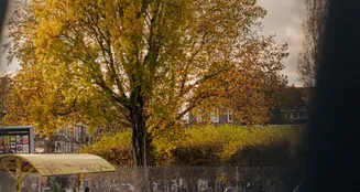 von_poll_real_estate_property_NL25185592_image_36