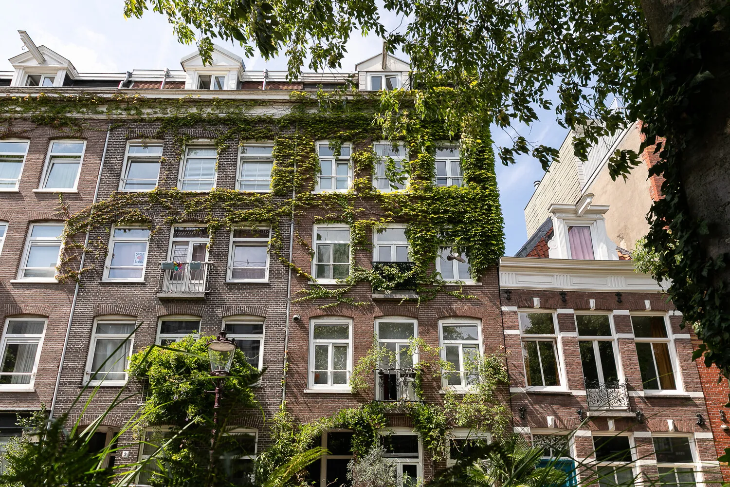 Gijsbrecht van Aemstelstraat_5_III_Amsterdam-1