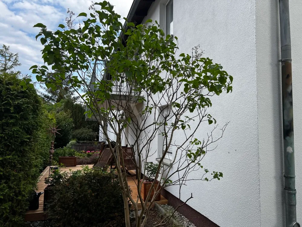 Nordansicht