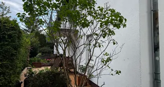 von_poll_real_estate_property_21257221_image_7