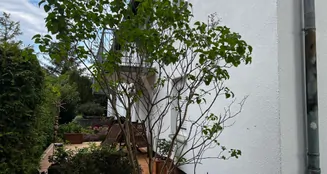 von_poll_real_estate_property_21257221_image_7