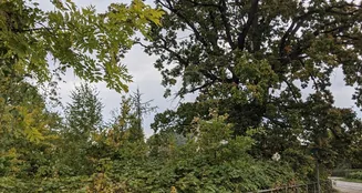 von_poll_real_estate_property_22257296_image_0