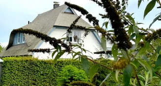 von_poll_real_estate_property_23257325_image_4