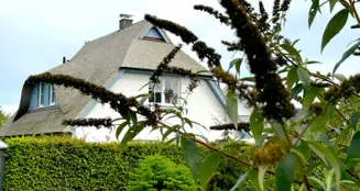 von_poll_real_estate_property_23257325_image_4