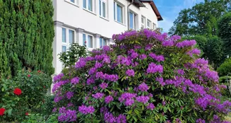 von_poll_real_estate_property_24257375_image_8