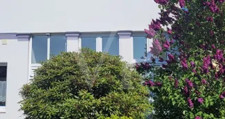 von_poll_real_estate_property_24257376_image_16