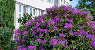 von_poll_real_estate_property_24257377_image_11